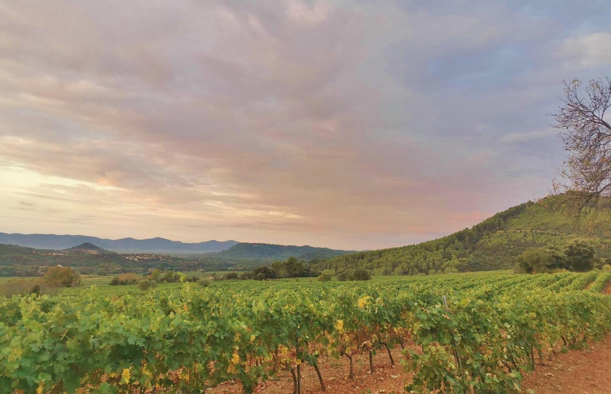 Le Nid En Chante Vue Panoramique Les Arcs-sur-Argens المظهر الخارجي الصورة